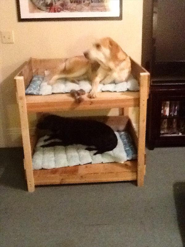 Plans to build Diy Wood Dog Bed PDF Plans