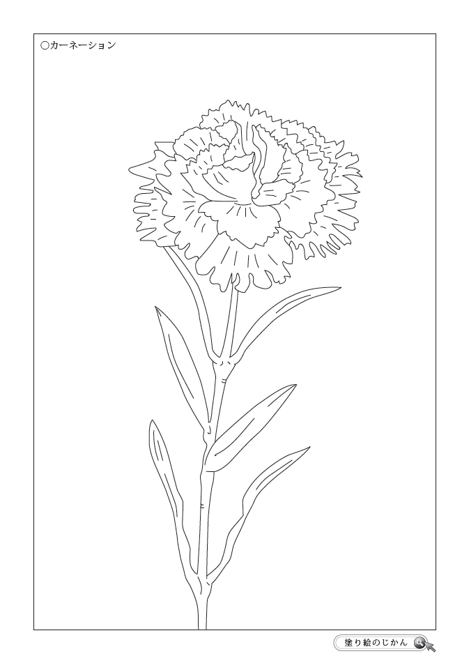カーネーションぬりえ 塗り絵のじかん