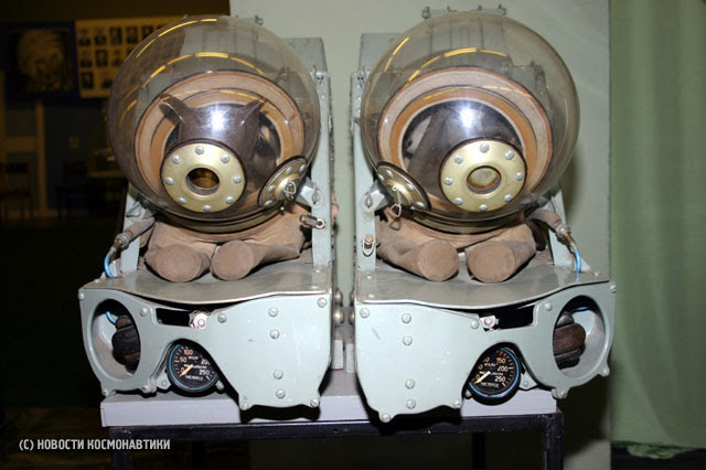 russian dogs in space 6