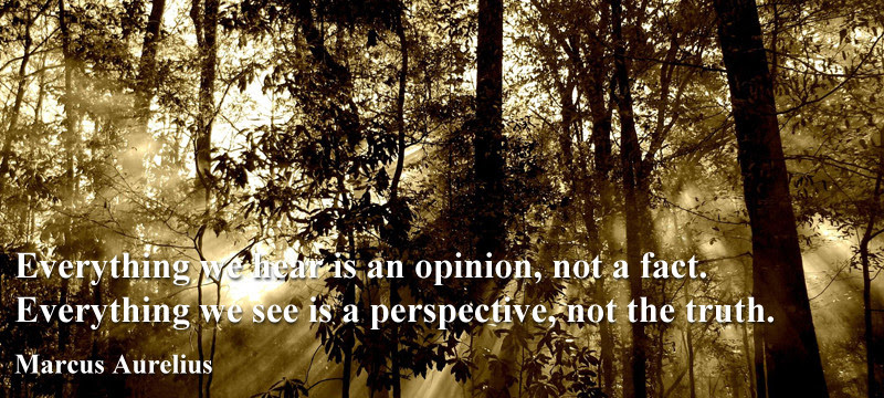 Everything we hear is an opinion not a fact. Everything we see is a perspective not the truth. Marcus Aurelius Quote