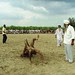 DSC07211