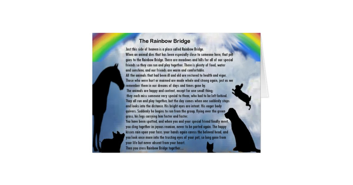 rainbow bridge poem card zazzle