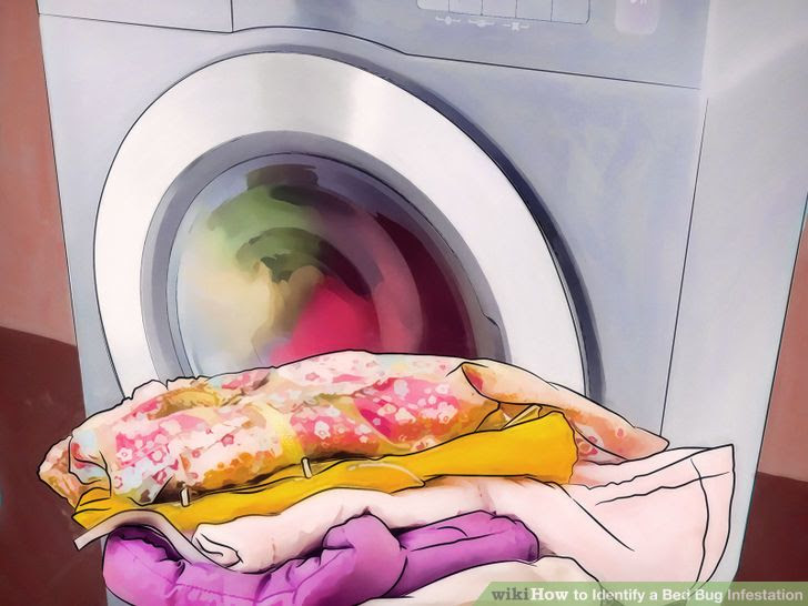 Identify a Bed Bug Infestation Step 11 Version 2.jpg