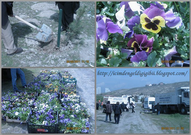 yenimahalle belediyesi