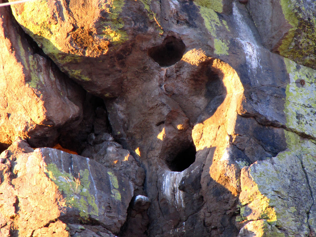 Hole in the Rock Nest