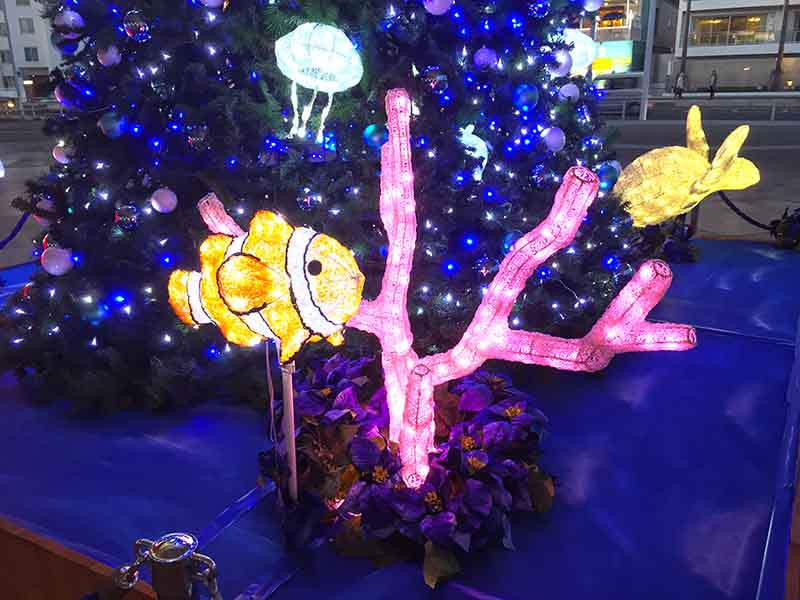 新江ノ島水族館で子供が喜ぶクリスマスイルミネーション アクア ツリー 開始 湘南enjoywork Cowork Costudy 平塚の会員制自習室 シェアオフィス