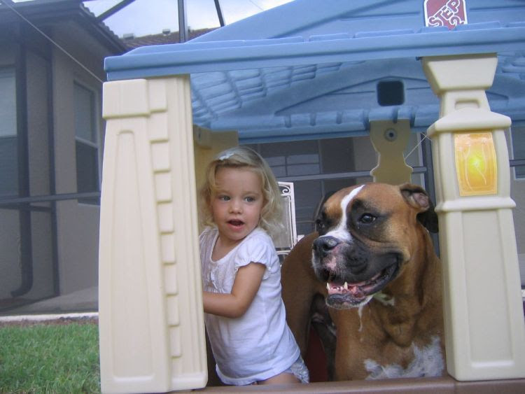 Positive emotions of the day Children and dogs