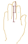 hand