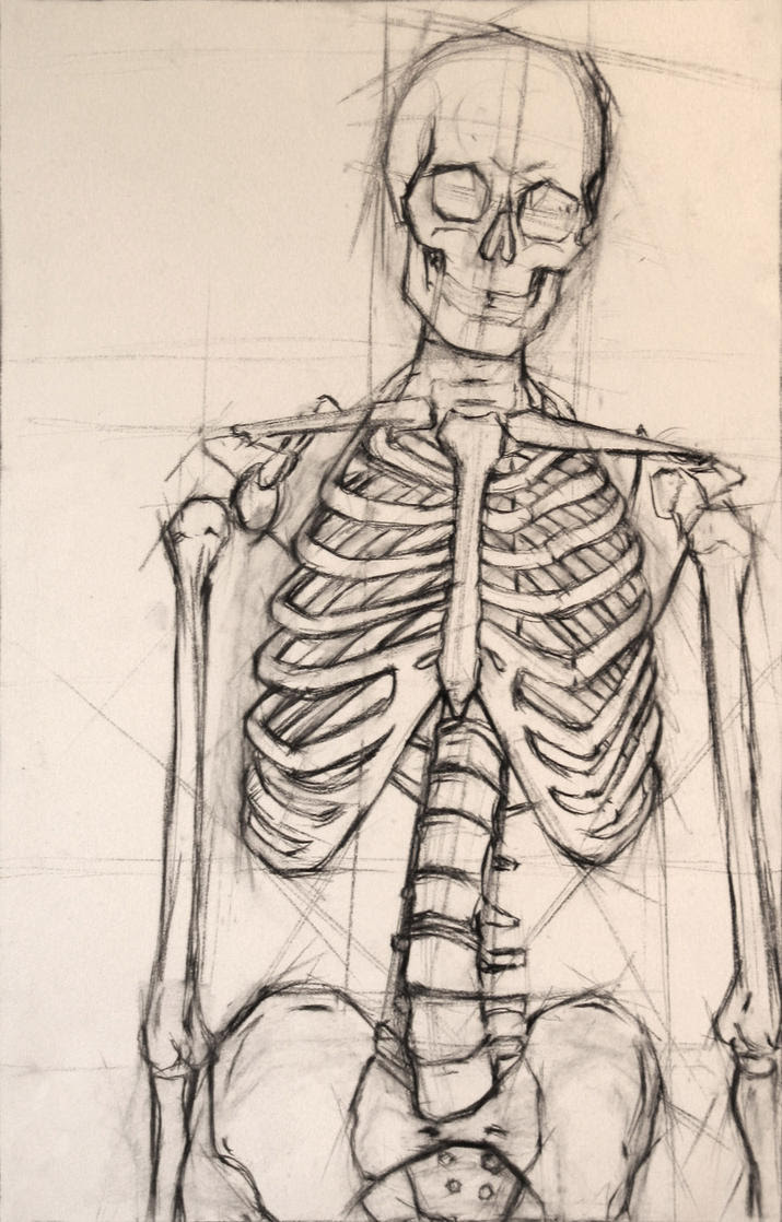 Skeleton by xaviar12321 on DeviantArt