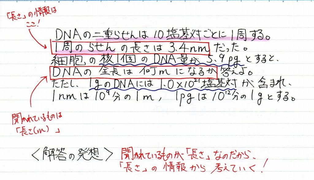 生物基礎 Dnaの全長計算問題の解き方を解説 ココミロ生物 高校生物の勉強サイト