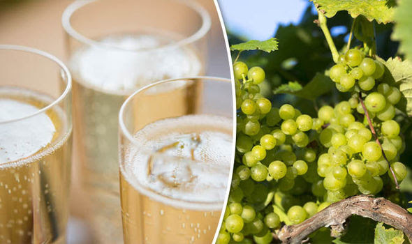 New markets add ad to fizzing English wine exports