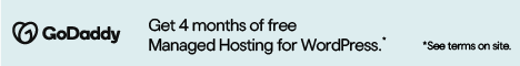 $1*/ mo Managed WordPress hosting! Everything you need to succeed online with GoDaddy!