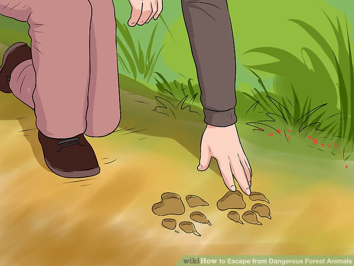 Escape from Dangerous Forest Animals Step 19 Version 2.jpg