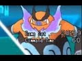 25 ++ ポケモン エンブオー 色違い 760304-ポケモンエンブオー色違い