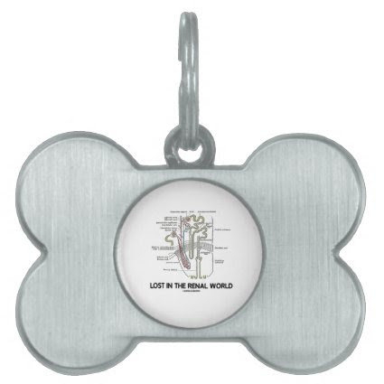 Lost In The Renal World (Kidney Nephron) Pet Tag