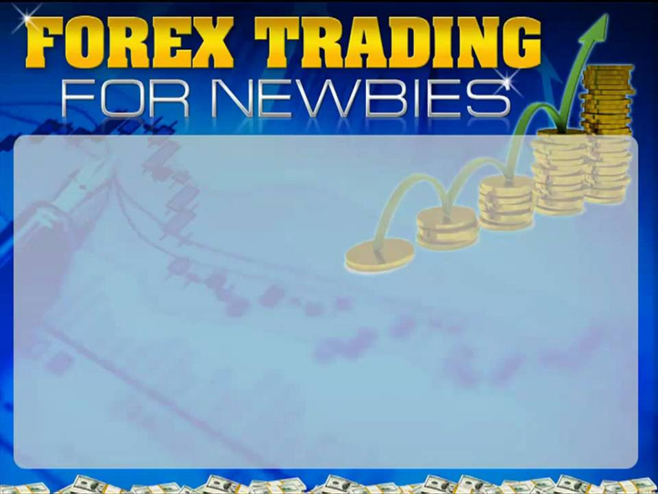 forex trading for newbies
