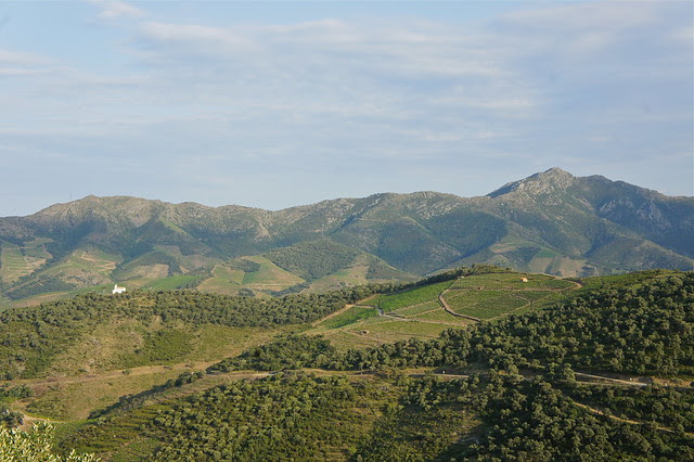 DSC07536