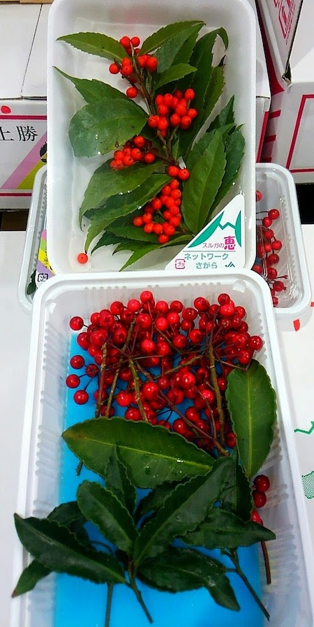 千両 万両 静岡産 徳島産 株式会社 新紙浅