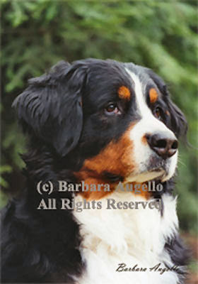 large dog breeds simulacrum