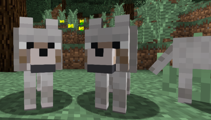 マイクラpc Pe 戦闘のパートナーとなるオオカミの特技や飼育法まとめ マイクラモール