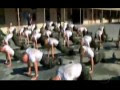 Video Fant