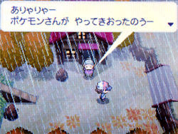 ポケモン ブラック ホワイト 攻略日記 22 トルネロス ボルトロス ランドロス捕獲 どうぶつの森 と過ごす日々