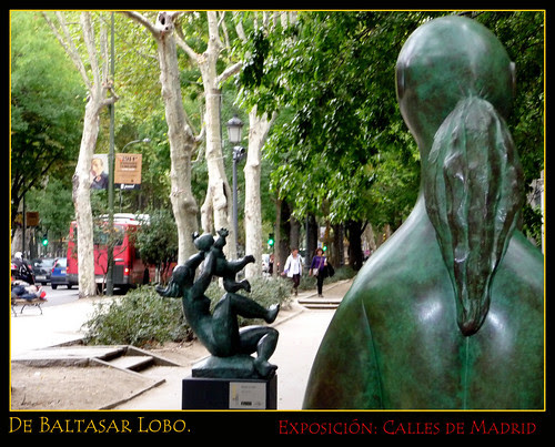 de baltasar lobo