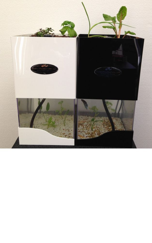 Aquaponics Systems Store Online - Tabletop Aquaponics, $169.95 (http ...