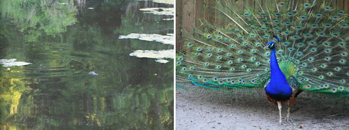 Middleton Place Wine Stroll 2