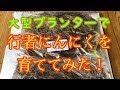 ++ 50 ++ 行者にんにく 増やし方 116472-行者にんにく 増やし方