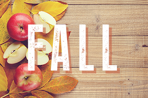  photo Fall_zpsbcb9959e.png
