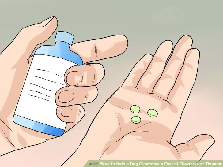 Help a Dog Overcome a Fear of Fireworks or Thunder Step 5.jpg