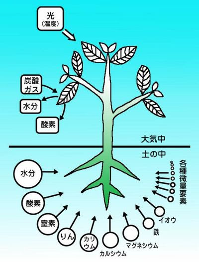 日本肥料アンモニア協会