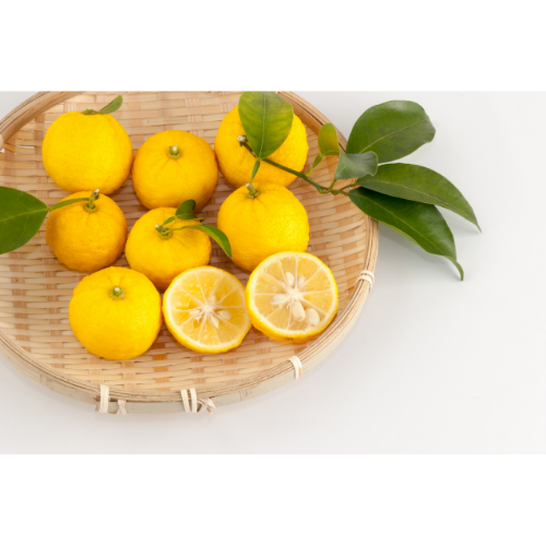 Download Y Food Name Pics
