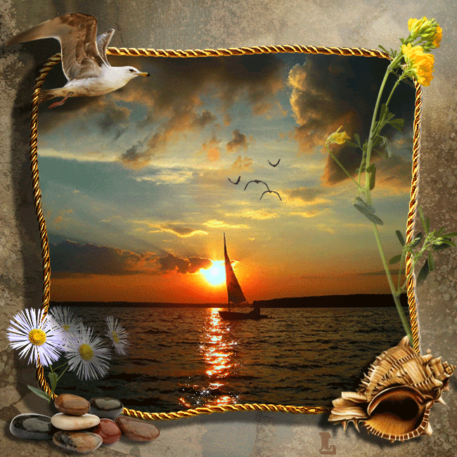 Coucher de soleil ... belle image