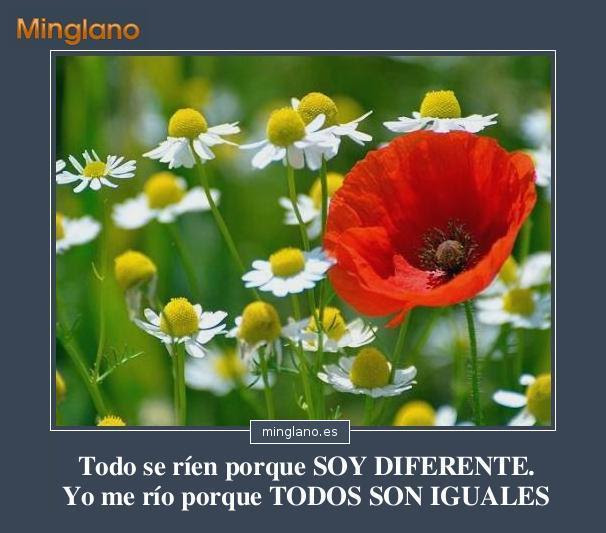 FRASES INTELIGENTES con IMÁGENES para FACEBOOK