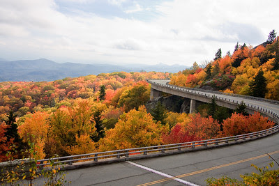 Linn Cove Viaduct in the Autumn - Blue Ridge Parkway