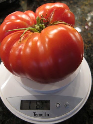 1 pound 6 5/8 ounces!