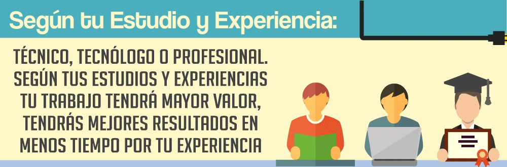 Experiencia Profesional