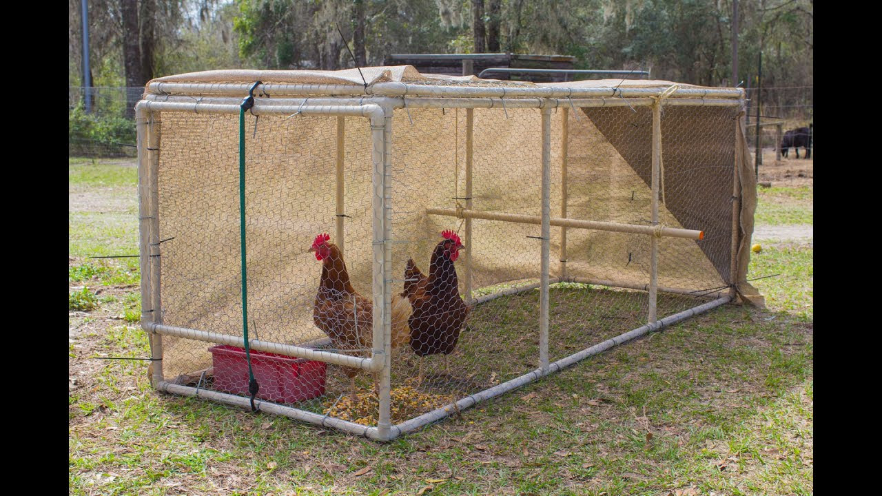 How big should my chicken coop be? - YouTube