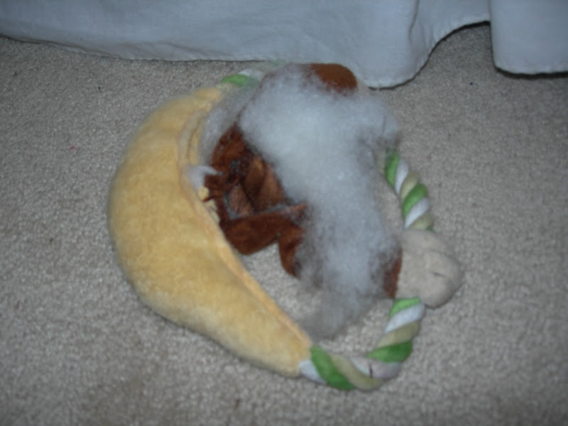 DSCN4401.JPG