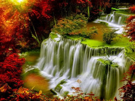 cascade falls autumn forest red leaves sunlight desktop hd
