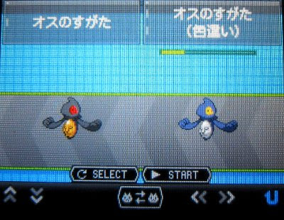 テトのひだまり日記 色違いデスマス