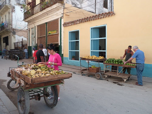 P1140933