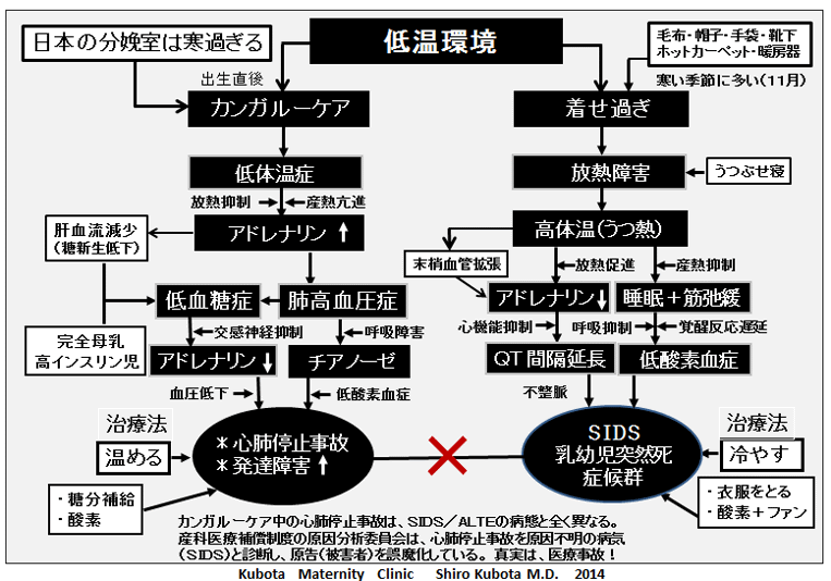 乳幼児突然死症候群は 原因不明の病気ではない