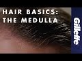 Hair Anatomy Medulla