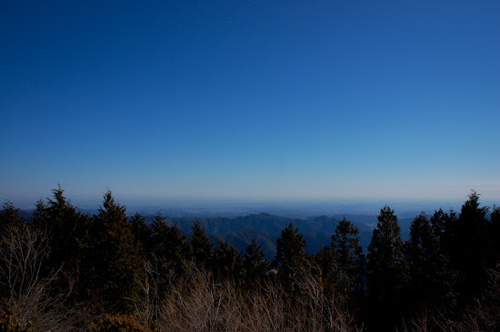 20120220-DSC_5342-Hontonita