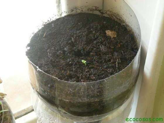 Let it grow Autorriego para macetas, fácil y gratis