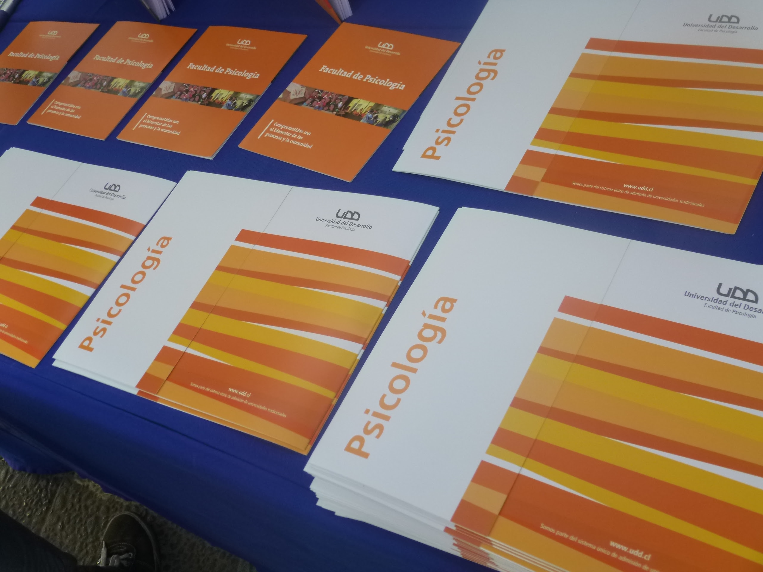 Psicologia Udd Destaca Por Alto Indice De Empleabilidad