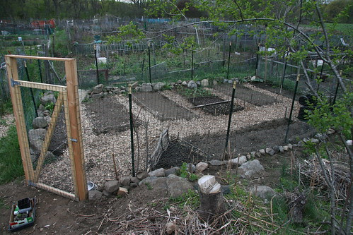 my plot